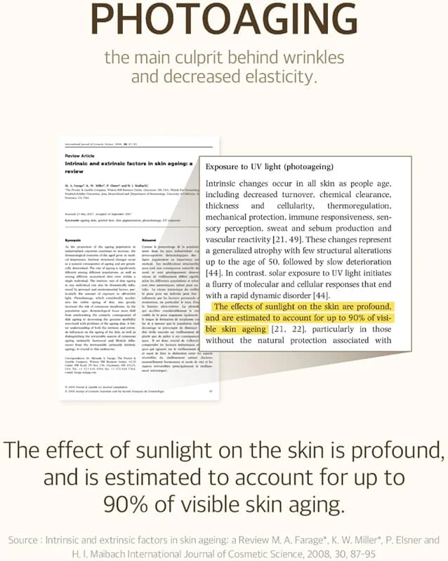 mixsoon Bean Sunscreen-Lightweight Airy Texture SPF 50 Korean Sunscreen