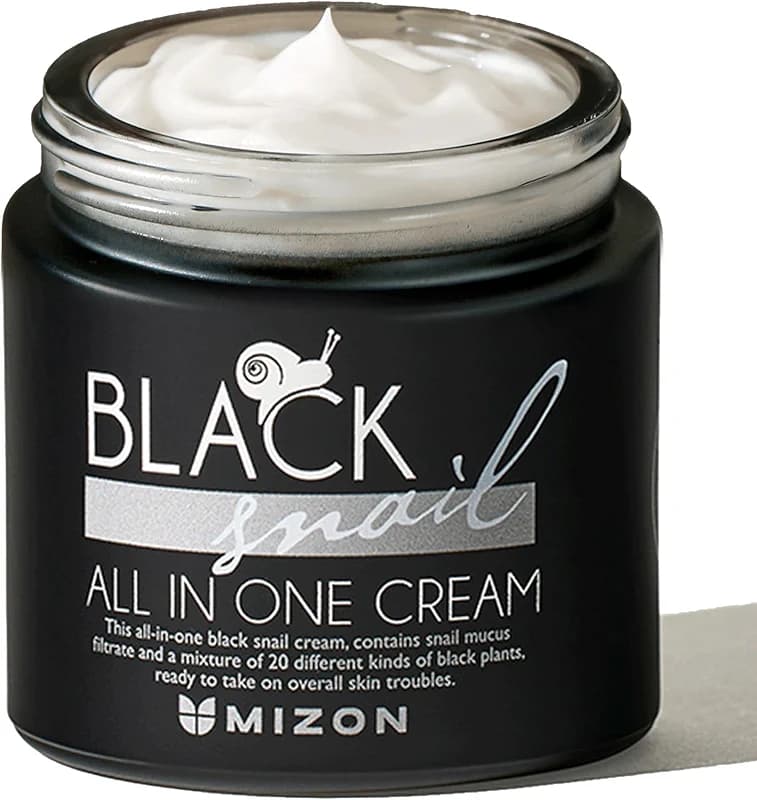 MIZON Black Snail All In One Cream