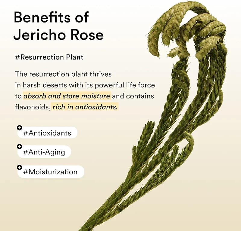 Abib Collagen Peptide Eye Patches for Wrinkles & Fine Line with Jericho alternate view 5